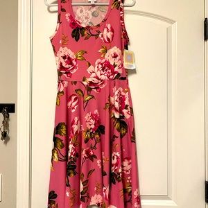 NWT LuLaRoe Nicki Dress - Size S